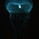 Image for article titled This Is Why Glowing Jellyfish Proteins Have Revolutionized Medicine